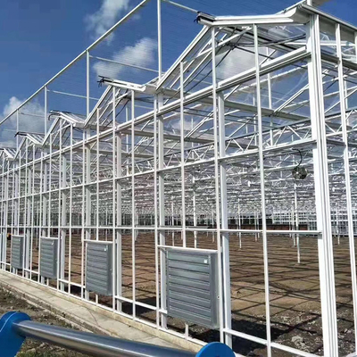 El alto tipo vidrio multi comercial fuerte de Venlo del palmo del invernadero cubrió