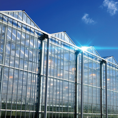 Vidrio de policarbonato de cartón hueco Industrial de vidrio exterior multispan profesional invernadero holandés para la plantación de flores