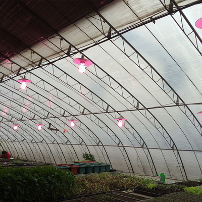 Invernadero solar pasivo agrícola del área fría tradicional