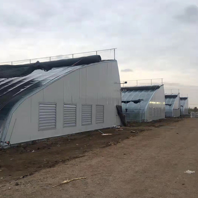 Invernaderos solares del solo túnel del palmo con la pared doble y la manta aislador