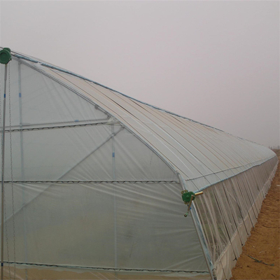 Invernadero de Singlespan de la película de polietileno del marco de acero para el cultivo de la agricultura