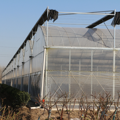 Invernadero multi transparente grande del palmo de 200 micrones de Coverd de la película plástica de Agroculture