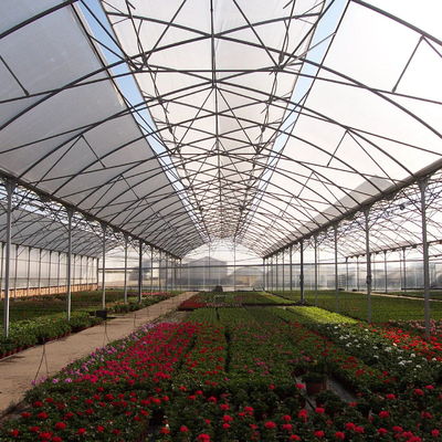 Sistema completo de la alta del túnel de Polyhouse del palmo agricultura multi plástica del invernadero