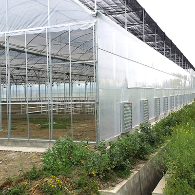 Envoltorio de plástico de alta calidad Viento-resistente 8 Mil Multi Span Greenhouse del crecimiento de cosecha