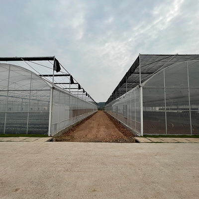 Invernadero multi comercial del palmo con el túnel que sombrea el sistema de enfriamiento del tomate del sistema