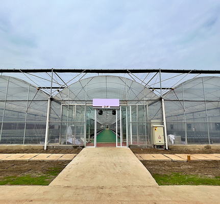Agricultura que planta el invernadero multi del palmo del invernadero del marco de acero del gran escala de las láminas de plástico