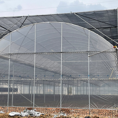 Invernadero agrícola de la película plástica del palmo multi modificado para requisitos particulares para el establecimiento del tomate