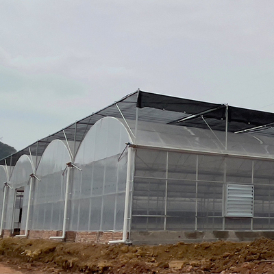 Invernadero multi galvanizado caliente del palmo de la estructura de acero del polietileno del invernadero agrícola de la hoja