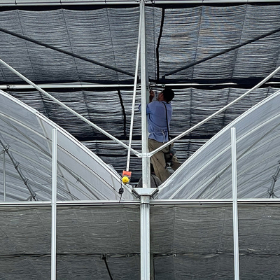 Tipo galvanizado invernadero del tejado del arco de la tubería de acero de la película de plástico con el sistema del hidrocultivo