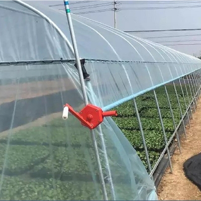 Solo invernadero de la película plástica del túnel de la agricultura para la fresa que planta el crecimiento