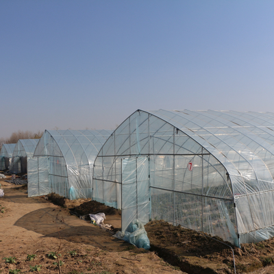 Solo invernadero de la película plástica del túnel de la agricultura para la fresa que planta el crecimiento