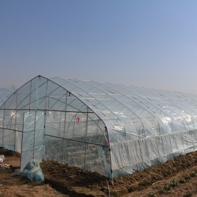 Invernadero plástico del túnel chino al aire libre del arco transparente para el cultivo