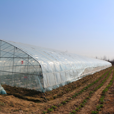 Invernadero plástico del túnel chino al aire libre del arco transparente para el cultivo