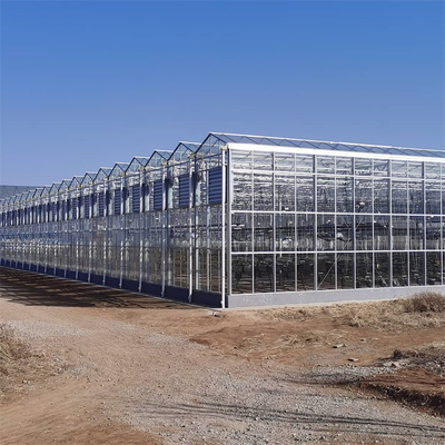 Vidrio de policarbonato de cartón hueco Industrial de vidrio exterior multispan profesional invernadero holandés para la plantación de flores