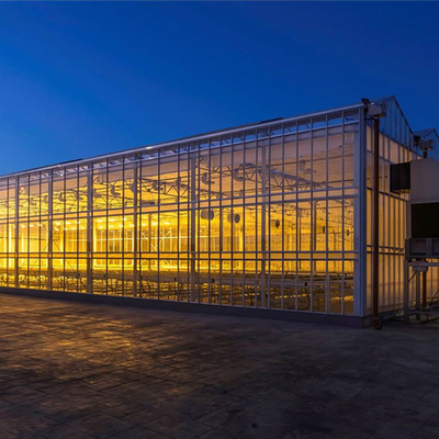 Invernadero de cristal moderado aislado de Venlo de la luz del sol del invernadero para la horticultura