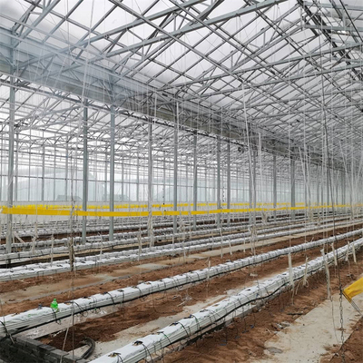 Invernadero de cristal automático de Venlo del palmo multi de la agricultura para el crecimiento de verduras