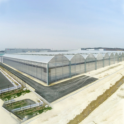 Proyecto de llavero Serre Agricole del policarbonato del invernadero agrícola de la hoja inteligente