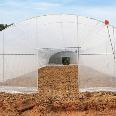 Túnel de la sola del palmo del crecimiento de verduras alto agricultura del invernadero para los almácigos