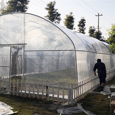 Solo invernadero del túnel de la película plástica del palmo para el crecimiento agrícola de las plantas