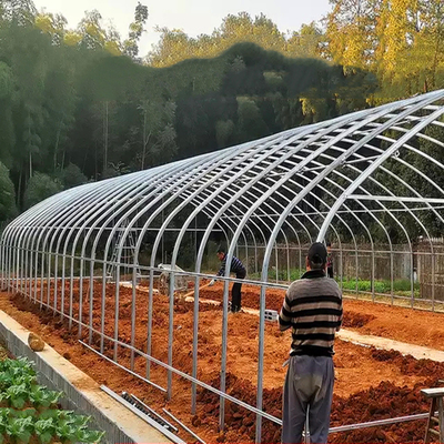 Invernadero plástico del túnel de las fresas del túnel agrícola plástico de la granja con el sistema de ventilación