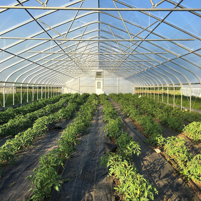 Invernadero plástico del túnel de las fresas del túnel agrícola plástico de la granja con el sistema de ventilación