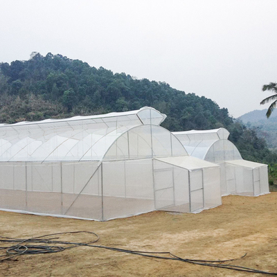 Invernadero del respiradero del tejado de paraguas del túnel del solo palmo de la agricultura solo para el área caliente