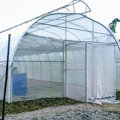Invernadero del respiradero del tejado de paraguas del túnel del solo palmo de la agricultura solo para el área caliente