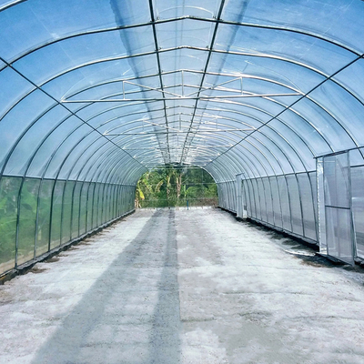 El invernadero galvanizado paraguas enmarca el respiradero automático del solo túnel tropical del palmo