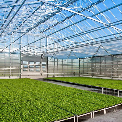 Invernadero holandés profesional de cristal al aire libre industrial de Multispan del vidrio del invernadero de la flor de la agricultura para el establecimiento de la flor