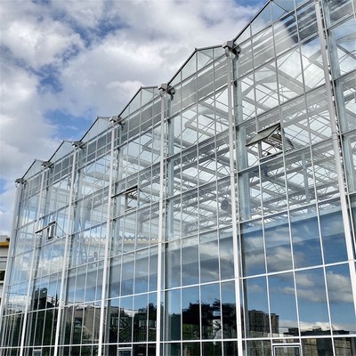 Invernadero de cristal automático galvanizado de Venlo de la tubería de acero para el jardín botánico