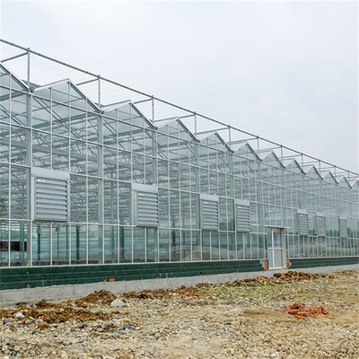 Vertical holandesa galvanizada vidrio plano del invernadero del vidrio de la estructura del invernadero de Duble del invernadero del Multi-palmo