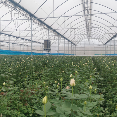 Invernadero plástico del insecto del túnel hidropónico multi neto anti del palmo para la verdura
