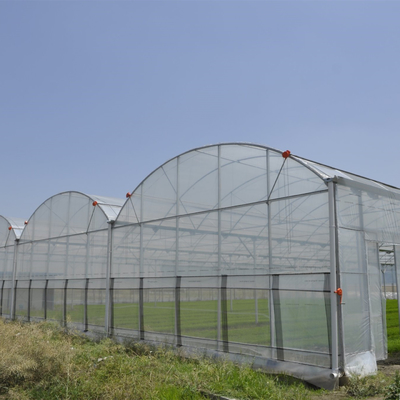 Invernadero plástico del insecto del túnel hidropónico multi neto anti del palmo para la verdura