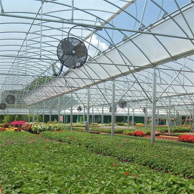 Invernadero multi hidropónico del palmo de la hoja plástica redonda del túnel para el establecimiento de las flores