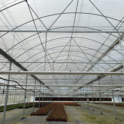 El lado del sistema de irrigación expresa el invernadero multi del palmo con el sistema de riego automático