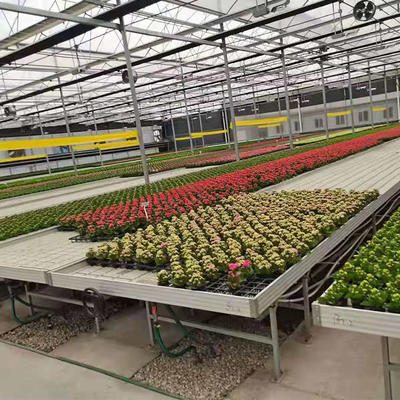 Las verduras bajan y fluyen los bancos de Tray Seeding Bed Greenhouse Rolling