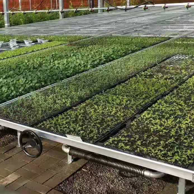 Las verduras bajan y fluyen los bancos de Tray Seeding Bed Greenhouse Rolling