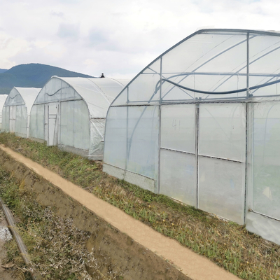 Invernadero polivinílico hidropónico del túnel de la película plástica del arco del marco de acero del sistema para el tomate