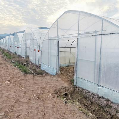 Invernadero comercial del túnel del sistema de enfriamiento del control del clima solo para el cultivo de la agricultura