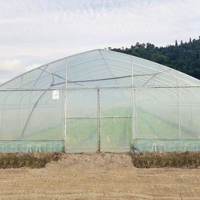 Construcción de un solo tramo de los invernaderos de la agricultura de la película plástica del sistema hidropónico en venta