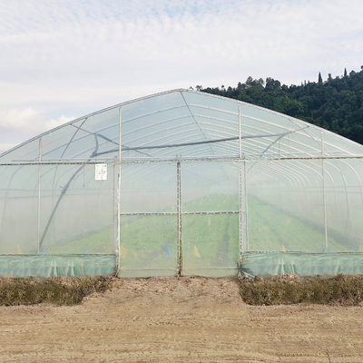 Invernadero polivinílico hidropónico del túnel de la película plástica del arco del marco de acero del sistema para el tomate