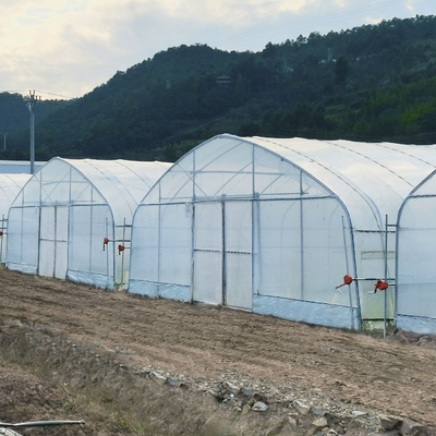 Casas verdes plásticas protegidas ULTRAVIOLETA de una sola capa de polietileno del túnel polivinílico para la agricultura