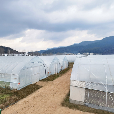 Casa de verde de un solo tramo productiva de la agricultura de los invernaderos del sistema de irrigación en venta