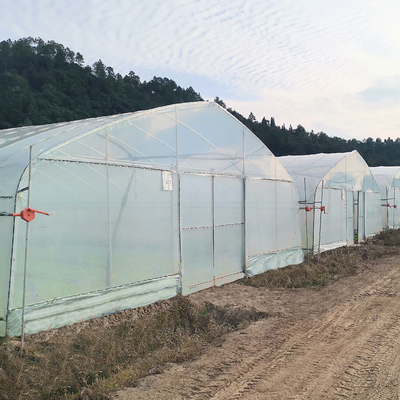 Casas verdes plásticas protegidas ULTRAVIOLETA de una sola capa de polietileno del túnel polivinílico para la agricultura
