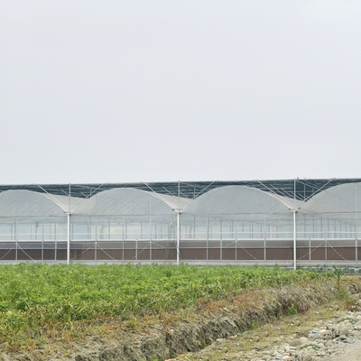 Los proyectos de llavero instalaron invernaderos agrícolas de la película plástica del Multi-palmo hidropónico comercial de la casa verde