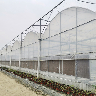 Invernadero hidropónico comercial del sistema Multispan del tomate con los sistemas de control del clima