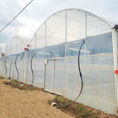 Invernadero hidropónico comercial del sistema Multispan del tomate con los sistemas de control del clima