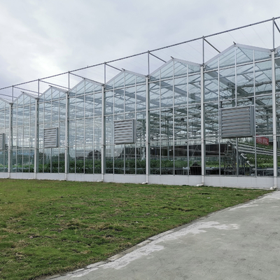 Invernadero holandés profesional de cristal al aire libre industrial de Multispan del vidrio del invernadero de la flor de la agricultura para el establecimiento de la flor