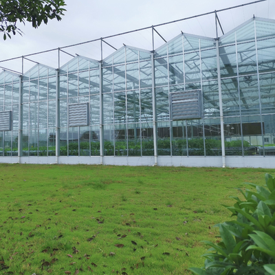 Invernadero holandés profesional de cristal al aire libre industrial de Multispan del vidrio del invernadero de la flor de la agricultura para el establecimiento de la flor