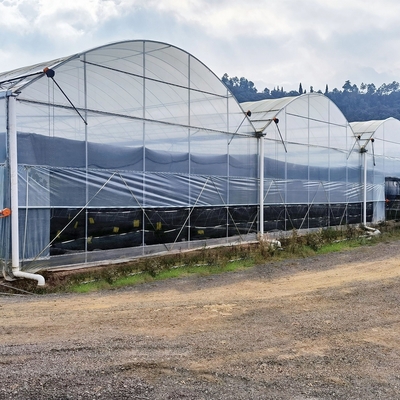 Invernadero vegetal rodante del palmo grande del hidrocultivo del marco de acero del invernadero del túnel del banco alto